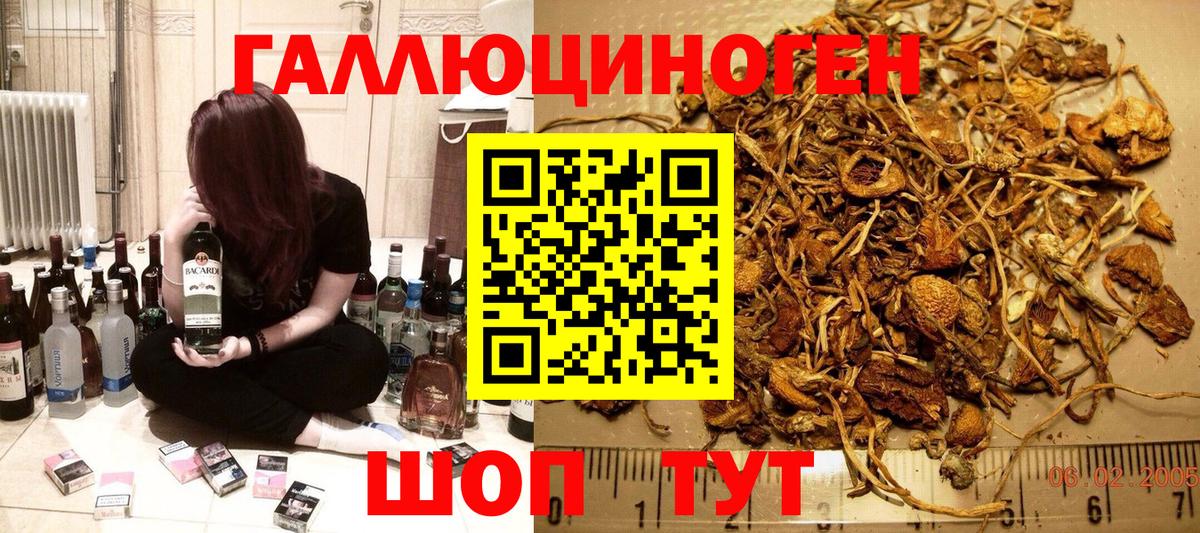 где можно купить   Галлюциногенные грибы ЛСД  Вход с VPN  Ногинск  Псилоцибиновые грибы ЛСД 
