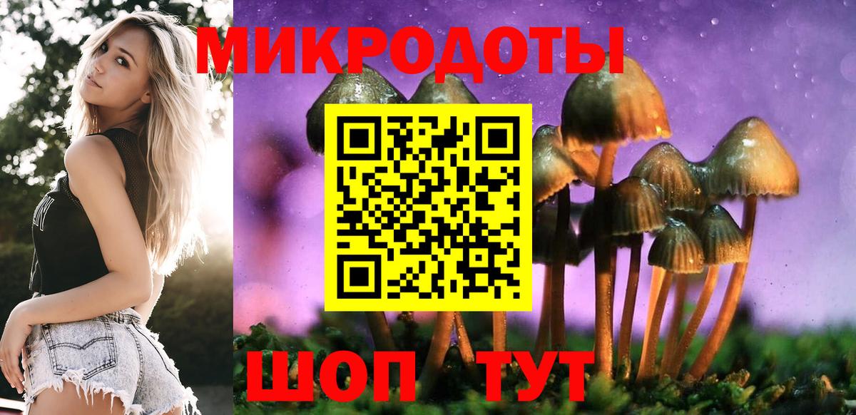 Галлюциногенные грибы Psilocybine cubensis Ногинск